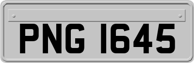 PNG1645