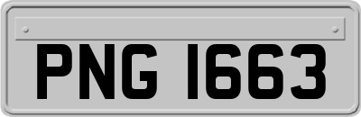 PNG1663