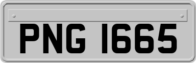 PNG1665