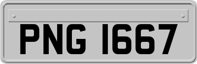 PNG1667