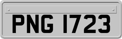 PNG1723