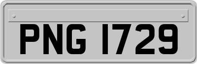 PNG1729