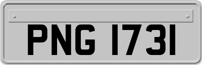 PNG1731