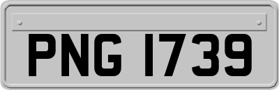 PNG1739
