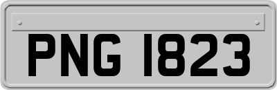 PNG1823