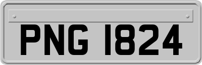 PNG1824