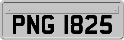 PNG1825