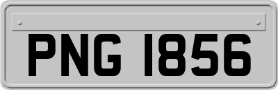 PNG1856