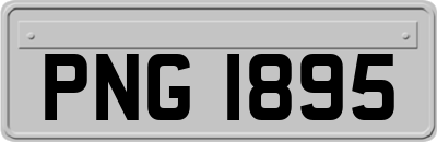 PNG1895