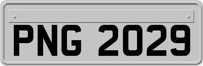 PNG2029