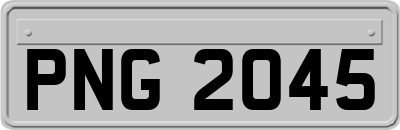 PNG2045