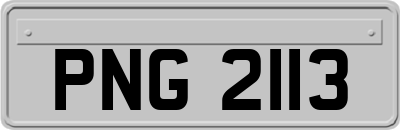PNG2113