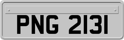 PNG2131