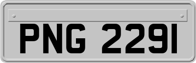 PNG2291