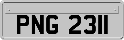 PNG2311