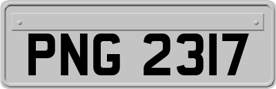 PNG2317