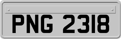 PNG2318