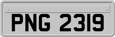 PNG2319