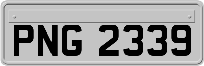 PNG2339
