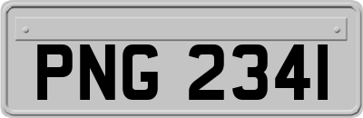 PNG2341