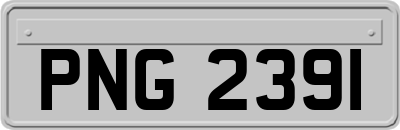 PNG2391