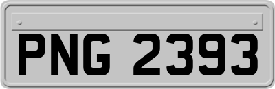 PNG2393