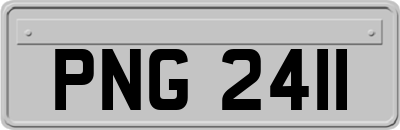 PNG2411
