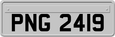 PNG2419