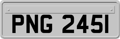 PNG2451