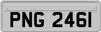 PNG2461