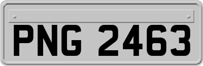 PNG2463