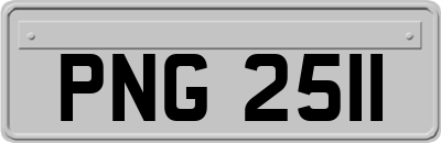 PNG2511