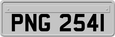 PNG2541