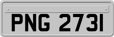 PNG2731