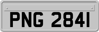 PNG2841