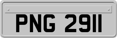 PNG2911