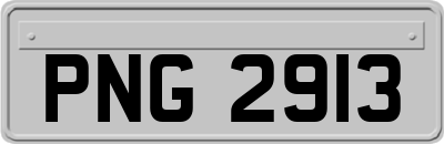 PNG2913
