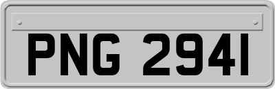 PNG2941