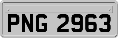 PNG2963