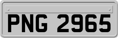 PNG2965