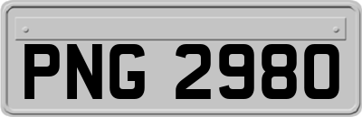 PNG2980
