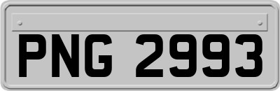 PNG2993