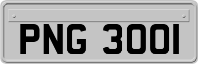 PNG3001