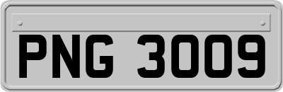 PNG3009