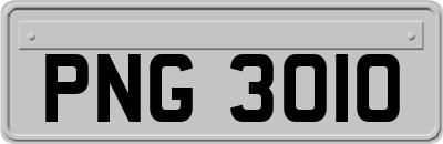 PNG3010