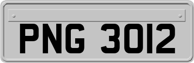 PNG3012