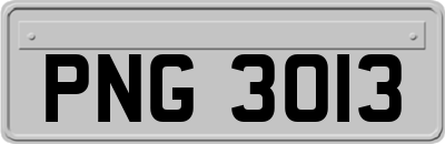 PNG3013