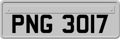 PNG3017