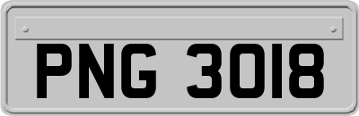 PNG3018