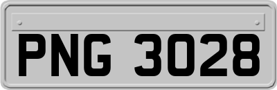 PNG3028